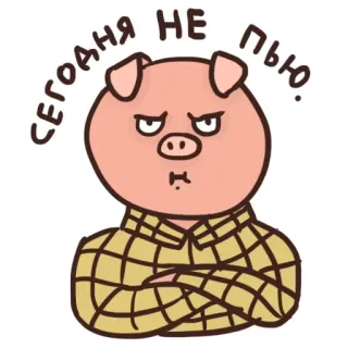 😑 ebc88849 СЕГОДНЯ НЕ ПЬЮ. pig, cartoon, plaid shirt, text, angry, cute telegram sticker