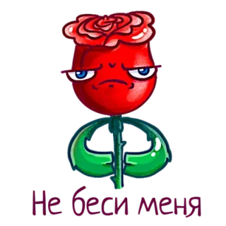 🤯 fa11d352 Не беси меня rose, flower, cartoon, red, text, sticker whatsapp sticker