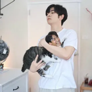 😁 cc3b8ef3 kucing, pria, pelukan, hewan peliharaan, cinta, kasih sayang whatsapp sticker