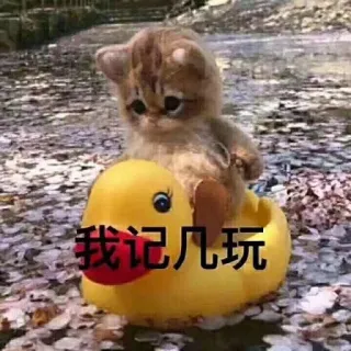 😞 2e64f4ab 我记几玩 Katze, Ente, niedlich, Tier whatsapp sticker