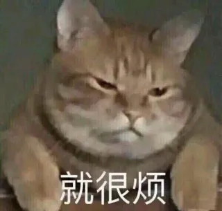 😷 3bb4c082 就很烦 Katze, genervt, Meme, Katzenartig, Haustier whatsapp sticker