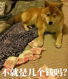 💸 76d70521 不就是几个钱吗？ Hund, Geld, Shiba Inu, Reichtum whatsapp sticker