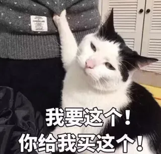 💰 ac73e286 我要这个!
你给我买这个! Katze, betteln, will, süß, Haustier whatsapp sticker