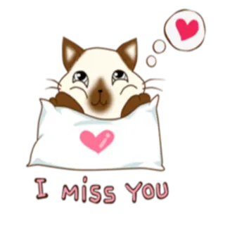 😍 2d5db737 I MISS YOU kucing, cinta, kangen, hati, bantal, imut, hewan telegram sticker