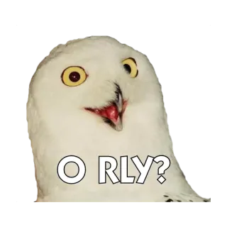 🐧 803d1bbc O RLY? 猫头鹰, 鸟, 表情包, 搞笑, o rly telegram sticker