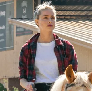 🍥 28ca8346 Frau, Pferd, Reiten, Porträt, Tier, Reitsport telegram sticker