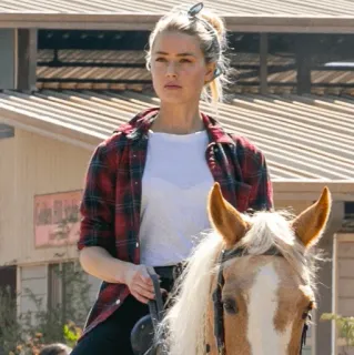 🍥 9a707624 Frau, Pferd, Reiten, Draußen, Tier, Reitsport, Person telegram sticker