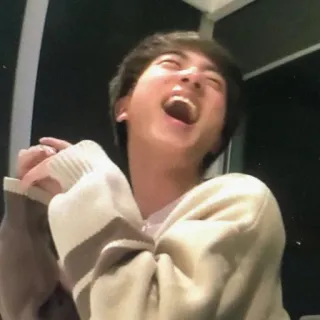 🌸 e98a06a6 orang, tertawa, pria, sweter, potret whatsapp sticker