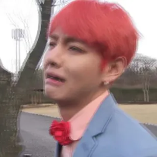 🐾 f6bf8469 whatsapp sticker