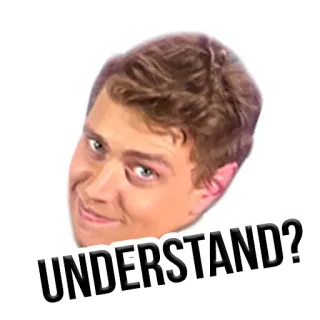 😏 92f317ee UNDERSTAND? Мем, Понять, Вопрос, Лицо, Выражение, Портрет whatsapp sticker