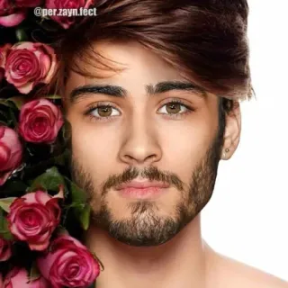 😐 550dcd1e Zayn Malik @per.zayn.fect 제인 말리크, 가수, 장미, 유명인 telegram sticker