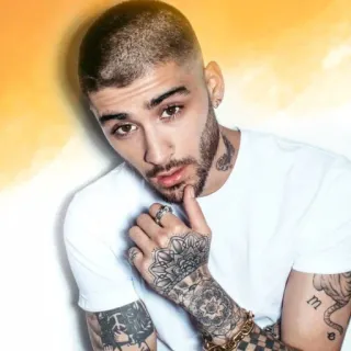 🤔 dc30a6c0 Zayn Malik 제인 말리크, 가수, 타투, 인물 사진, 유명인, 팝스타 telegram sticker