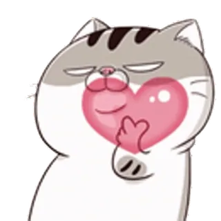 😘 0c24ae02 แมว, หัวใจ, ความรัก, น่ารัก, สติกเกอร์, สัตว์ telegram sticker