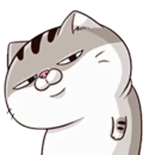 😨 421b7860 แมว, ยิ้มเยาะ, ตลก, น่ารัก, สัตว์, สัตว์เลี้ยง telegram sticker