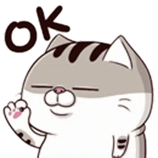 👌 bd5cee11 ok แมว, โอเค, สติกเกอร์, อีโมจิ, น่ารัก telegram sticker