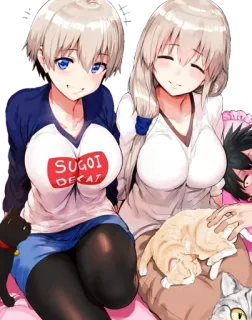 😒 f70a8f9e SUGOI DEKAI Anime, Dziewczyna, Kot, Słodkie, Fanart, Naklejka telegram sticker