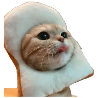 😸 0bfebc3a 猫, 面包, 搞笑, 动物, 吐司, 表情包 telegram sticker