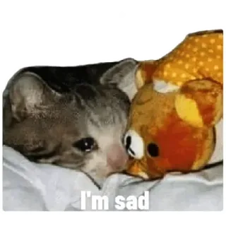 😸 17c5d233 I'm sad 猫, 悲伤, 沮丧, 动物, 宠物, 哭泣, 感情 telegram sticker