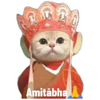 Anak kucing @Anak_kucing_stiker telegram stickers