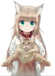 😍 d97f7041 Anime, Chica gato, Neko, Chica, Gato, Kawaii, Lindo telegram sticker