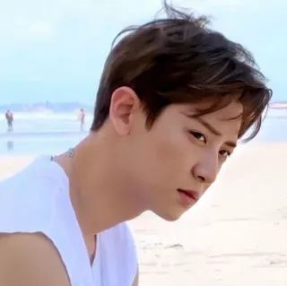 🤨 ed513b17 мужчина, пляж, песок, портрет, человек, океан telegram sticker