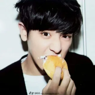 🥯 fef544e3 человек, еда, пончик, еда, портрет telegram sticker