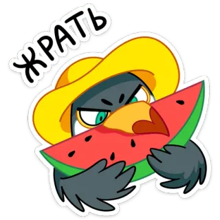 🍉 42d72f2d ЖРАТЬ 鸟, 西瓜, 帽子, 卡通, 夏天, 食物, 吃 telegram sticker
