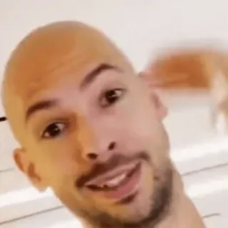 🌟 55b0754d Andrew Tate hói, đàn ông, chân dung, khuôn mặt telegram sticker