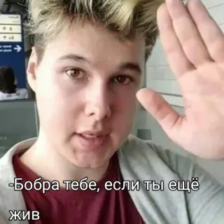 👋 8dc374a1 Бобра тебе, если ты ещё жив salam, semoga berhasil, humor, rusia telegram sticker