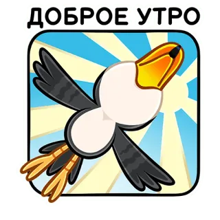 🕊 fe6a3a71 ДОБРОЕ УТРО доброе утро, птица, солнце, восход, приветствие, мультфильм telegram sticker