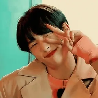 💗 deb771d3 orang, pria, simbol perdamaian, potret, asia telegram sticker