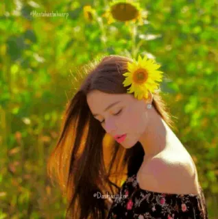⭐ 9b32f2b4 인물 사진, 여자, 해바라기, 자연, 소녀, 아름다움, 여름 telegram sticker