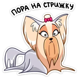 💇 93260d42 ПОРА НА СТРИЖКУ dog, cute, hairstyle, grooming, animal whatsapp sticker