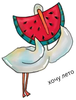 🍉 17aa2afc хочу лето ptak, arbuz, lato, słodki, kreskówka, naklejka telegram sticker