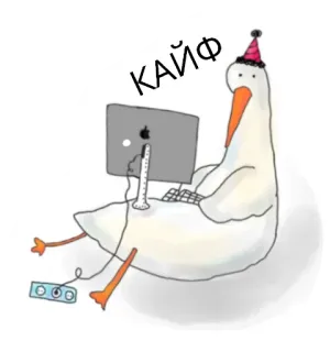 😁 3f149a7e КАЙФ gęś, komputer, ptak, czapeczka imprezowa, pisanie, zabawa, kawaii telegram sticker
