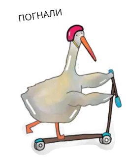 🤤 b62fea4d ПОГНАЛИ ptak, hulajnoga, kask, śmieszne, zwierzę, idź, jazda telegram sticker