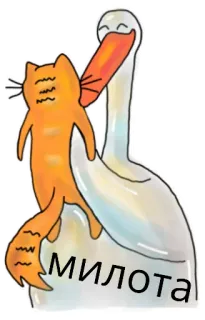 🥰 bd350d27 Милота kot, bocian, słodki, zwierzę, przyjaźń telegram sticker