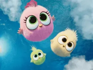 😇 325cd02c Cartoon, Vögel, süß, bunt telegram sticker