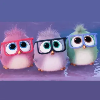 🤓 4f028418 Vögel, animiert, Cartoon, Brille telegram sticker