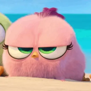🙄 5c0c4796 Stella Angry Birds Angry Birds, Vogel, rosa, Cartoon telegram sticker