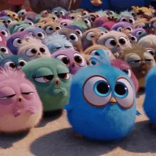 🐣 cde12b49 Vögel, niedlich, Tiere, flauschig, Cartoons telegram sticker