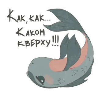 💁‍♀ 854a0e09 KAK, KAK... КАКОМ КВЕРХУ!!! fish, sticker, animal, russian, text, cute, cartoon telegram sticker