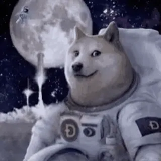 🪐 27a9bb16 Doge 강아지, 우주비행사, 달, 우주, 밈, 도지 telegram sticker