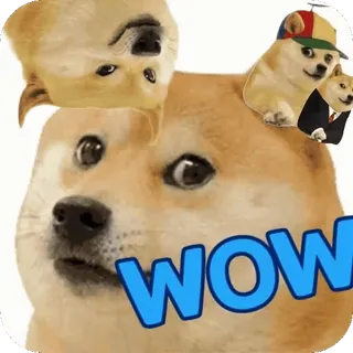 😮 397c87cb WOW 도지, 밈, 와우, 시바견, 개, 인터넷 밈 telegram sticker
