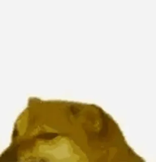 Anidoggo telegram stickers