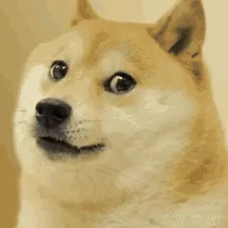 💀 82436f30 Doge 개, 밈, 도지, 동물, 인터넷, 귀여운, 웃긴 telegram sticker