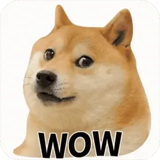 😮 9305cade WOW 개, 밈, 시바견, 와우, 웃긴, 인터넷, 도지 telegram sticker