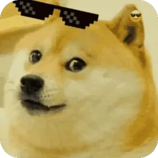 🥱 cad261af Doge 강아지, 밈, 도지, 선글라스, 인터넷 밈 telegram sticker