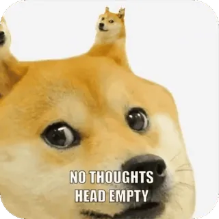 🧠 cec47232 Doge NO THOUGHTS
HEAD EMPTY 밈, 개, 웃긴, 유머, 인터넷 밈, 도지 밈 telegram sticker