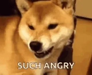 😡 dab5819f SUCH ANGRY 개, 시바견, 화난, 밈, 매우 화난, 동물 telegram sticker